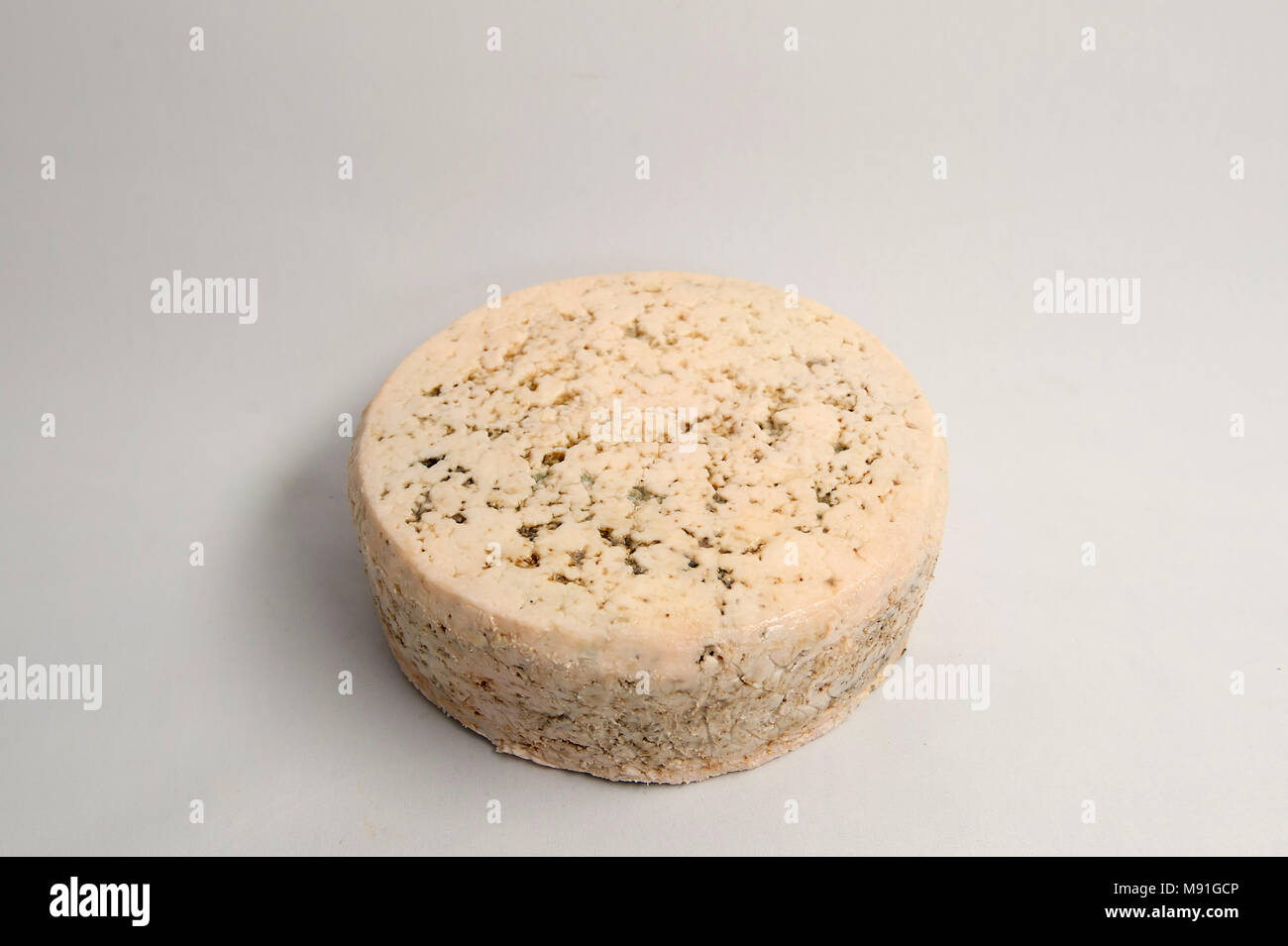 Il Cabrales è un formaggio blu prodotto nella tradizione artigianale dai caseifici rurali delle Asturie, in Spagna. Foto Stock