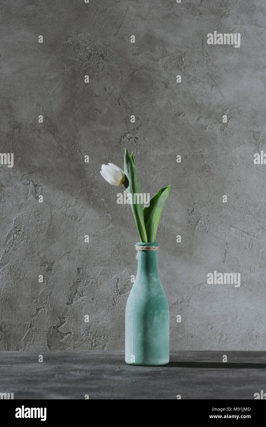 Molla bianco tulip in vaso blu sulla superficie grigia Foto Stock