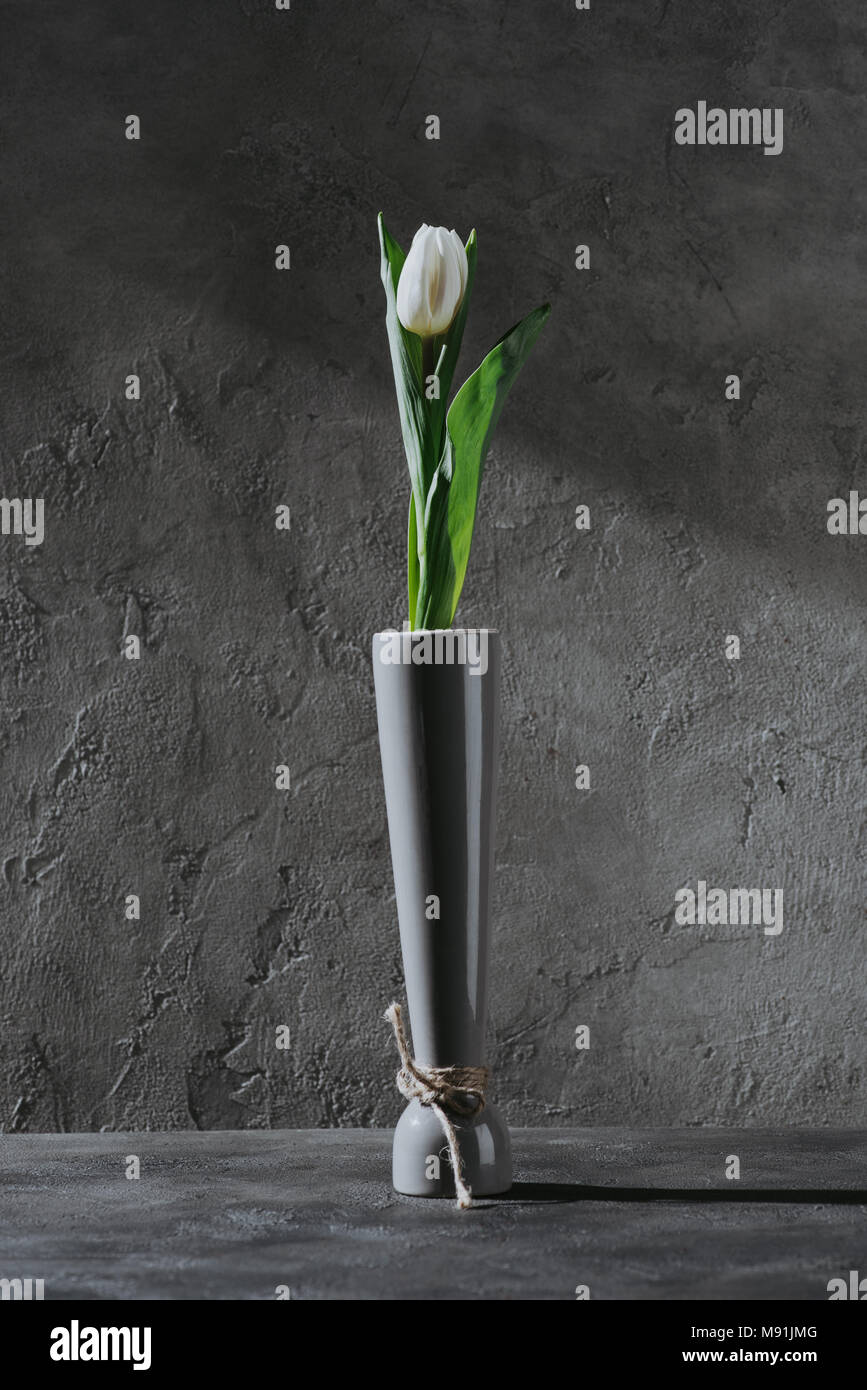 Molla bianco tulip in vaso grigio grigio su una superficie in calcestruzzo Foto Stock