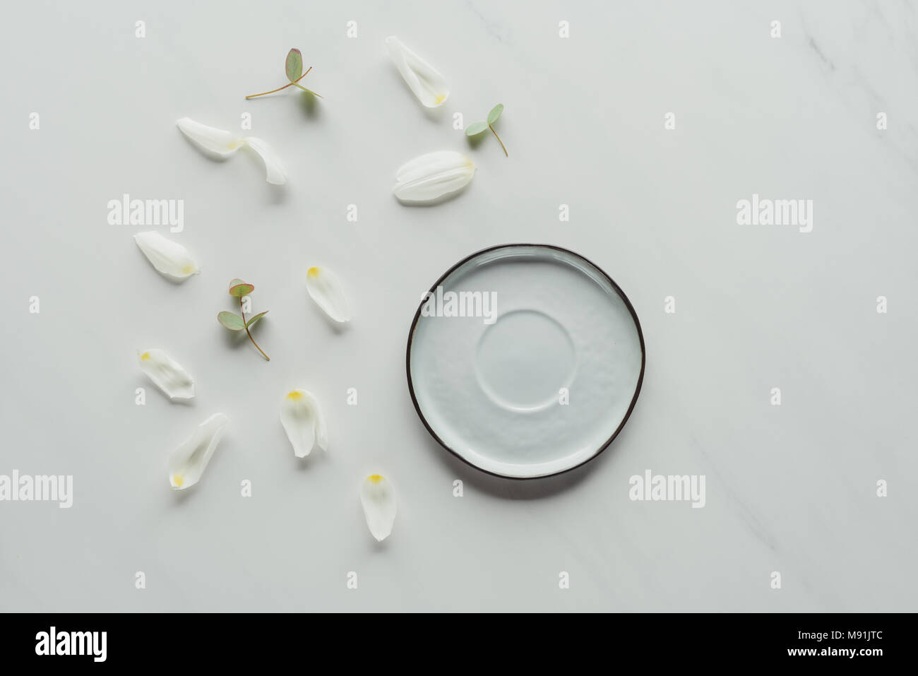 Vista dall'alto di petali di tulipano bianco e il piattino su bianco Foto Stock