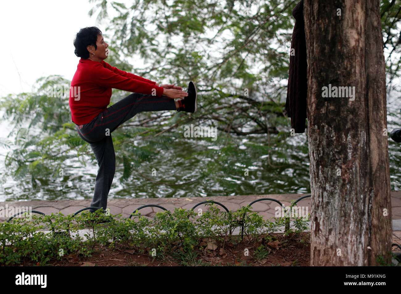 Donna fare tai chi al mattino sulle rive del Lago Hoan Kiem. Hanoi. Il Vietnam. Foto Stock
