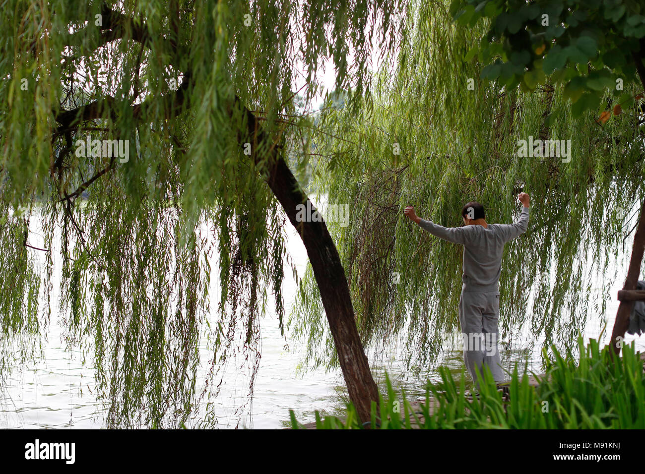 L'uomo fare tai chi al mattino sulle rive del Lago Hoan Kiem. Hanoi. Il Vietnam. Foto Stock