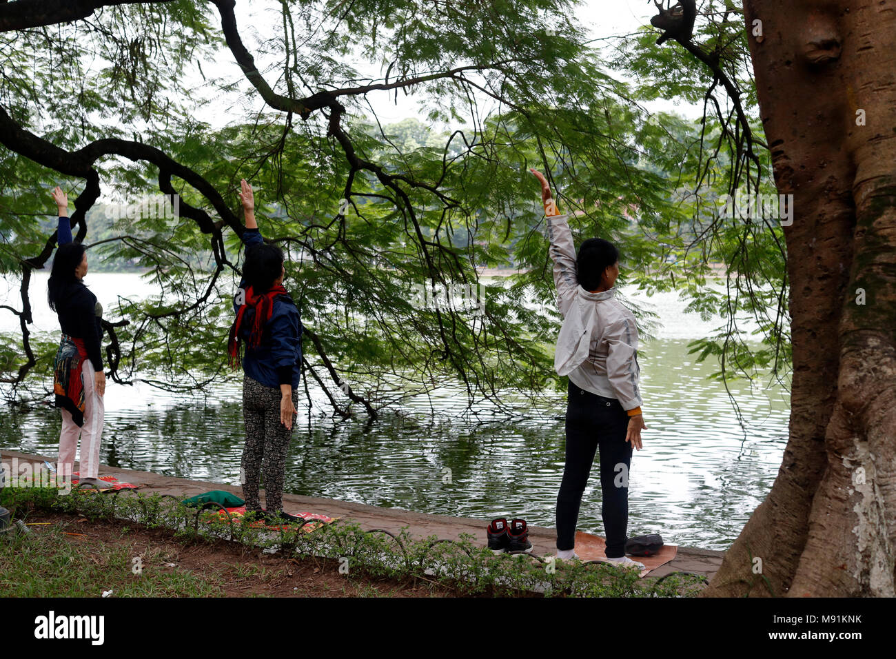 Le donne fanno tai chi al mattino sulle rive del Lago Hoan Kiem Hanoi. Il Vietnam. Foto Stock