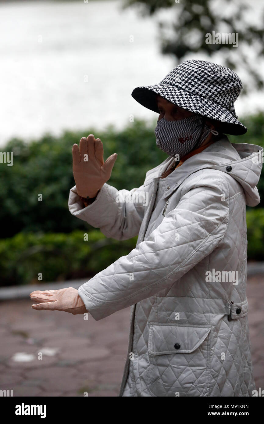 Donna fare tai chi al mattino sulle rive del Lago Hoan Kiem. Hanoi. Il Vietnam. Foto Stock