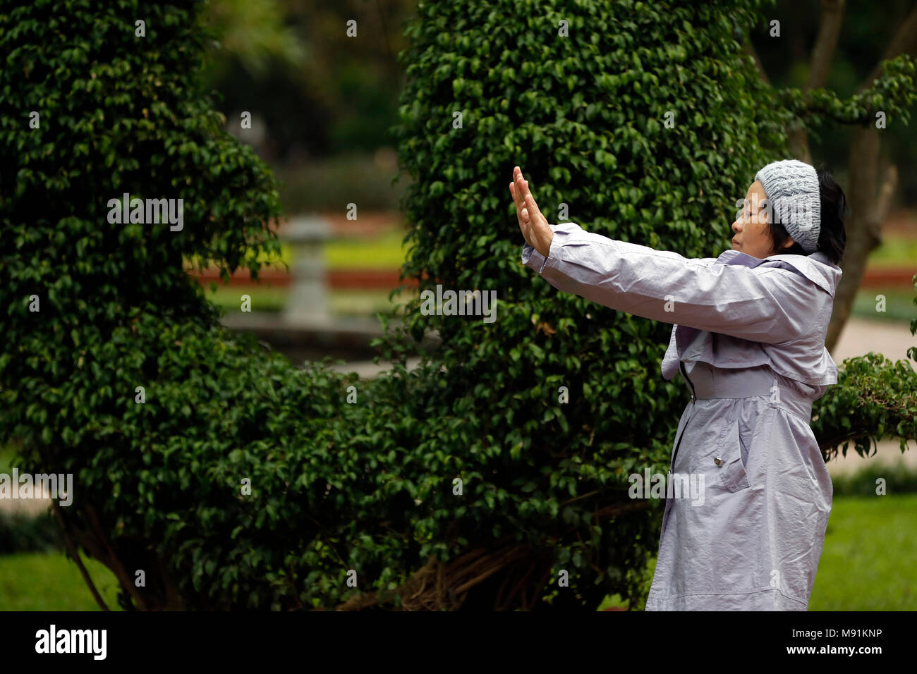 Donna fare tai chi al mattino sulle rive del Lago Hoan Kiem. Hanoi. Il Vietnam. Foto Stock