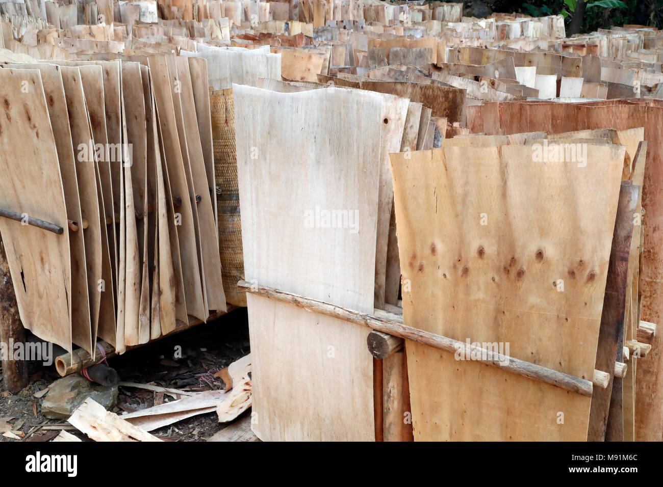 Fabbrica di legno. Bac figlio. Il Vietnam. Foto Stock