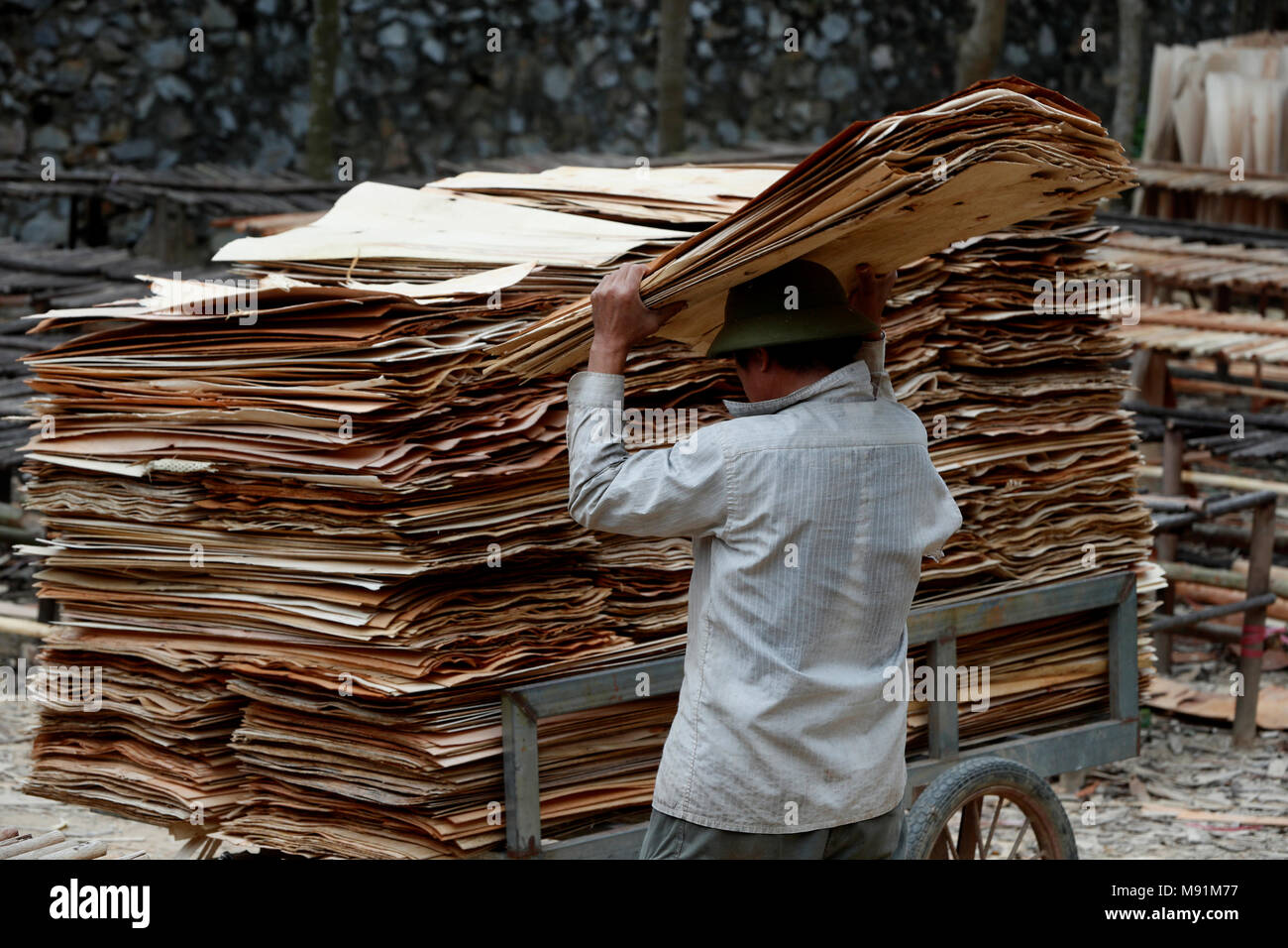 Uomo che lavora nella fabbrica di legno. Bac figlio. Il Vietnam. Foto Stock