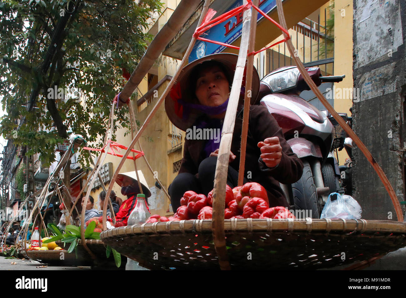 Tipica strada del quartiere vecchio di Hanoi. Donna vendita di verdura. Il Vietnam. Foto Stock