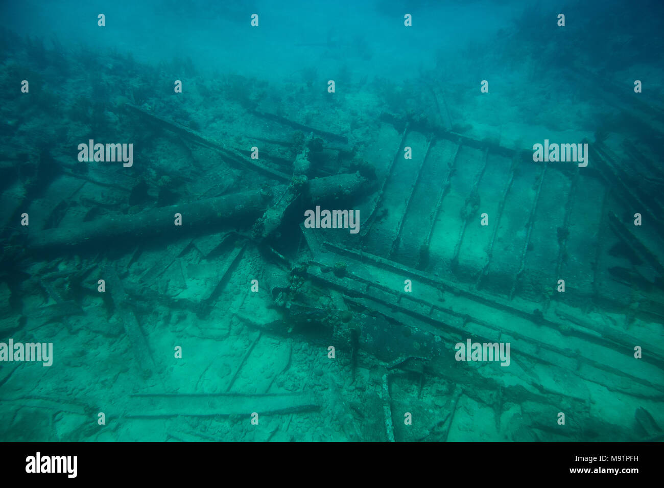 Guardando shpwreck sulla barca con fondo di vetro per tour in Grand Cayman island Foto Stock