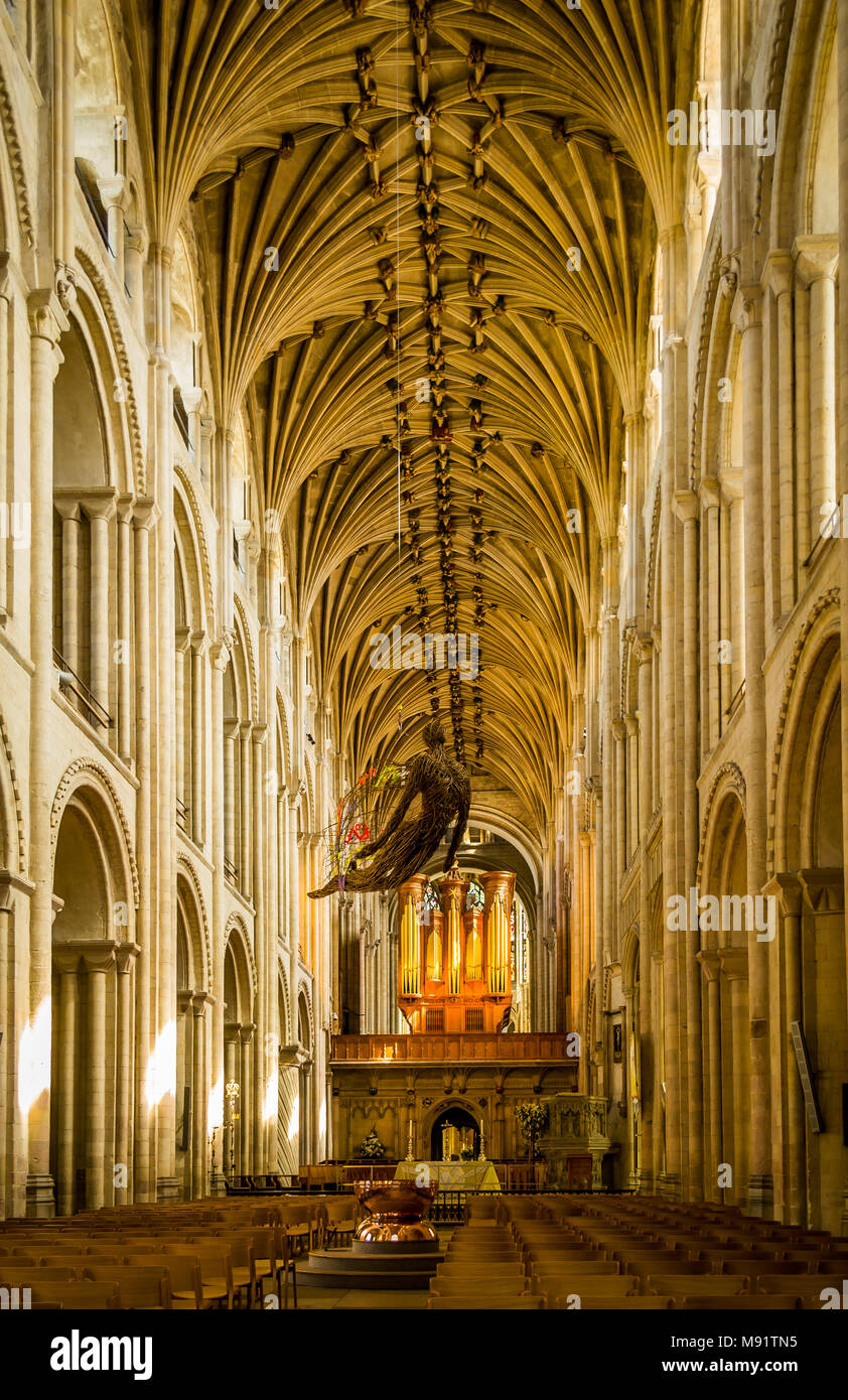 Norwich Cathedral interno Foto Stock