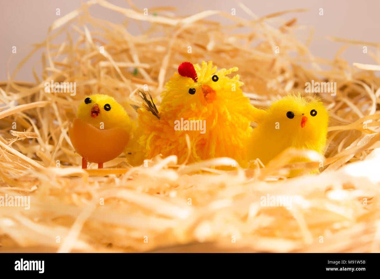 Decorazioni di pasqua. In la covata sono giallo giocattolo di polli e galline. Foto Stock