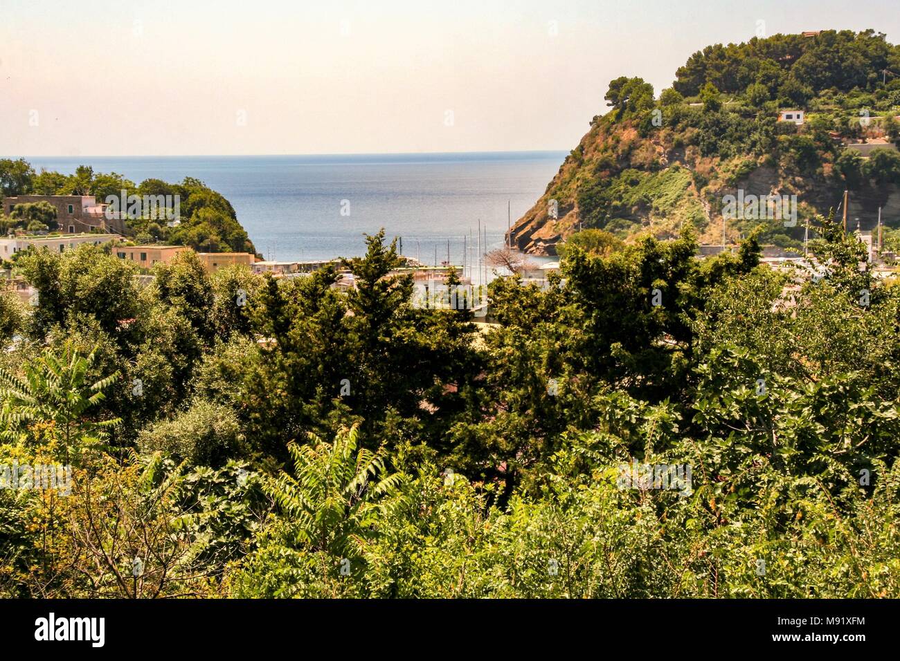 Vista del verde isola di Procida nel golfo di Napoli Foto Stock