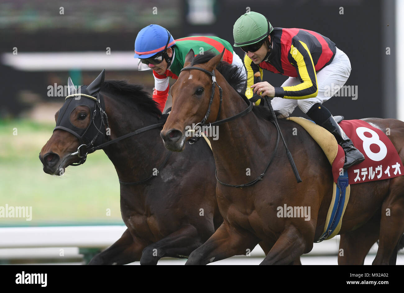 Funabashi, Chiba, Giappone. Xviii Mar, 2018. (L-R) Epoca d'Oro (Keita Tosaki), Stelvio ( Christophe Lemaire) Horse Racing : Stelvio cavalcato da Christophe Lemaire vince il Fuji TV Sho picchetti di primavera a Nakayama Racecourse in Funabashi, Chiba, Giappone . Credito: AFLO/Alamy Live News Foto Stock