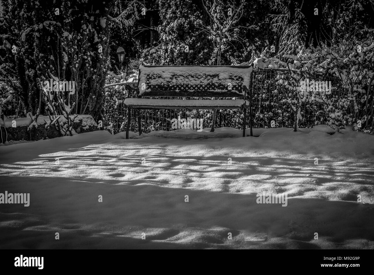 Panchina da giardino in inverno la neve e in bianco e nero. Panchina da giardino coperto di fresco di neve caduti, le luci del mattino. Foto Stock