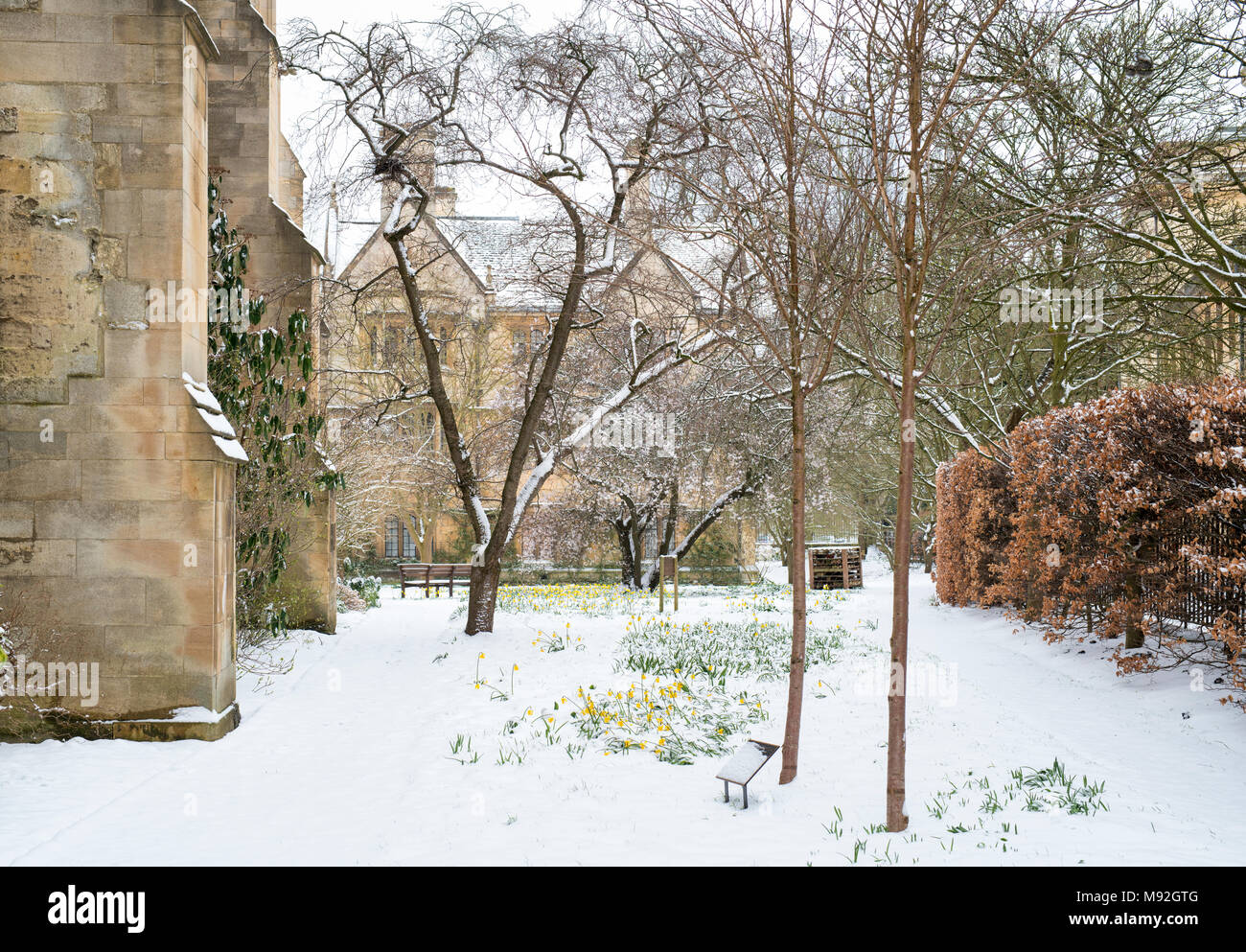Merton College Chapel giardino nelle prime ore del mattino la neve. Oxford, Oxfordshire, Inghilterra Foto Stock