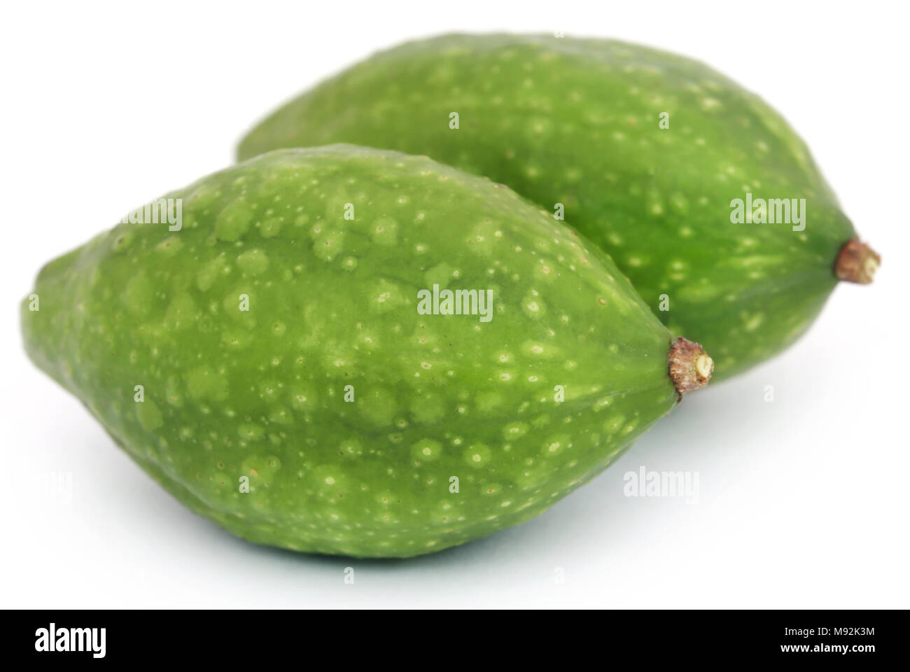 Verde fresco haritaki medicinali frutti su bianco backgrund Foto Stock