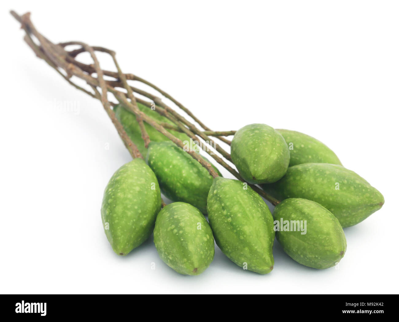 Verde fresco haritaki medicinali frutti su bianco backgrund Foto Stock