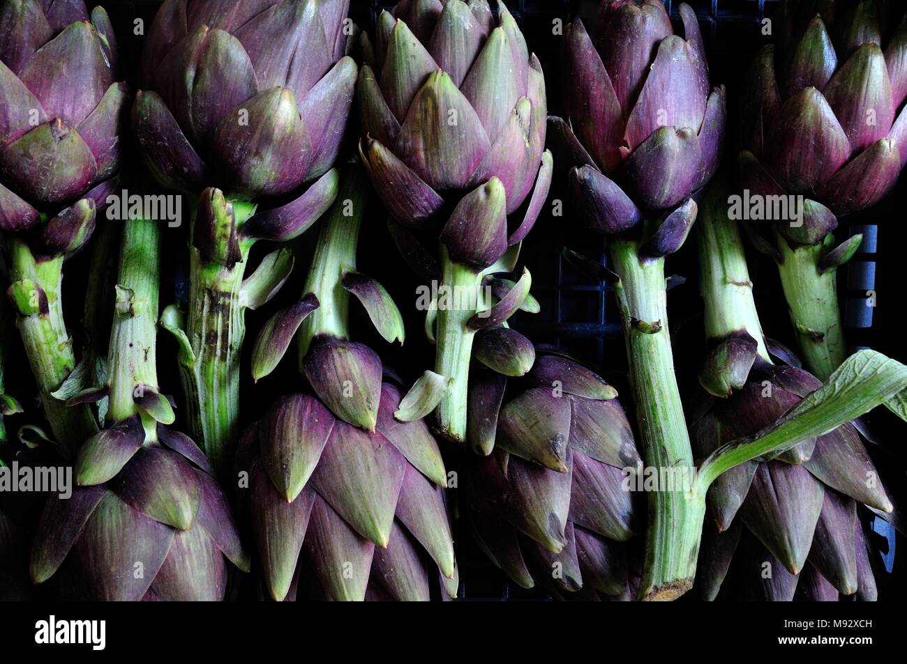 Nove verde carciofi organica su uno sfondo grigio, vista dall'alto. Una sana dieta antiossidante e verdure. Foto Stock