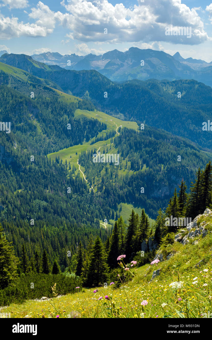 Estate paesaggio alpino, delle montagne boscose Foto Stock
