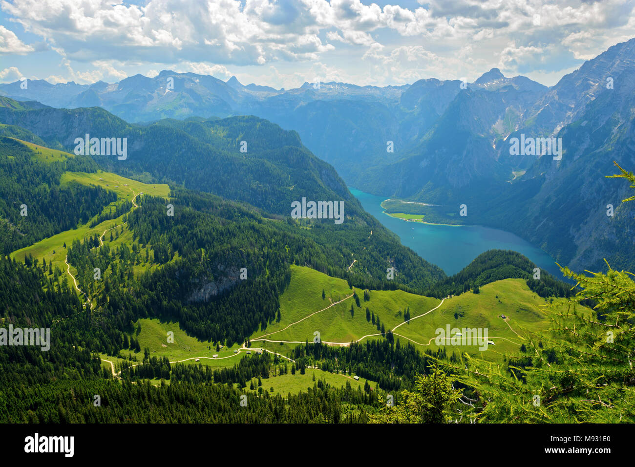 Colore verde brillante valle alpina in estate il lago di Königssee, Germania Foto Stock