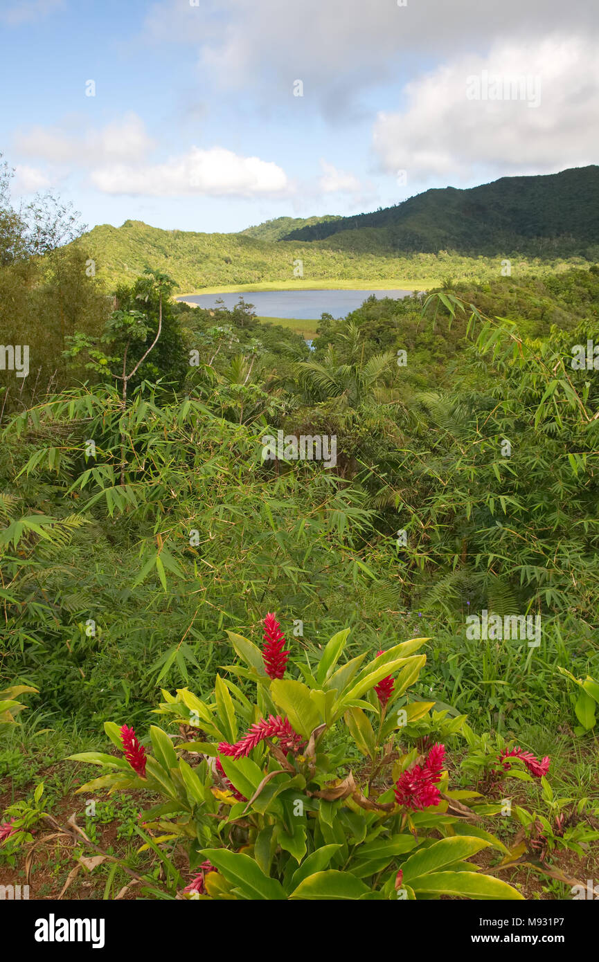 Grenada island - Parco nazionale Grand Etang - Grand Etang Lago Foto Stock