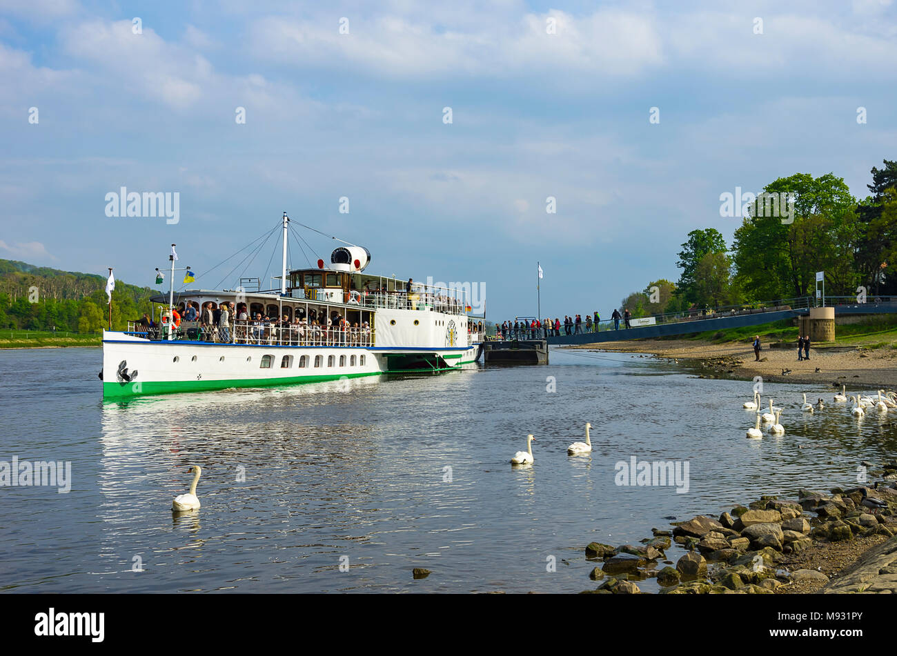 Lo storico battello a vapore PD Leipzig ha attraccato al pontile nel distretto di Blasewitz, Dresda, Sassonia, Germania. Foto Stock