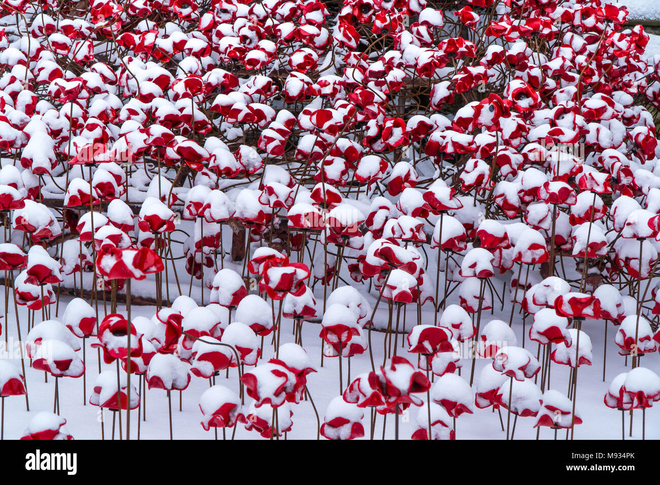 Dettaglio della coperta di neve papaveri in ceramica che formano parte della finestra piangendo a Hereford Cathedral Regno Unito Foto Stock