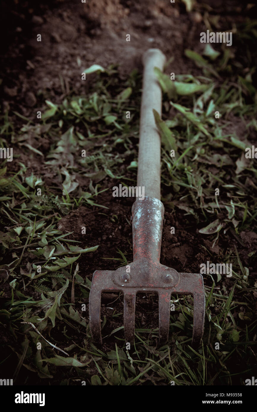 Sarchiatura vecchio utensile o a rastrello che giace abbandonata in erba verde. Vintage sentire. Foto Stock