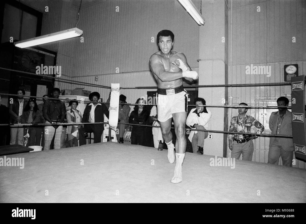 Muhammad Ali formazione a Gleason la palestra a New York per il suo mondo Heavyweight titolo di lotta con Ken Norton presso lo Yankee Stadium. 27 Settembre 1976 Foto Stock