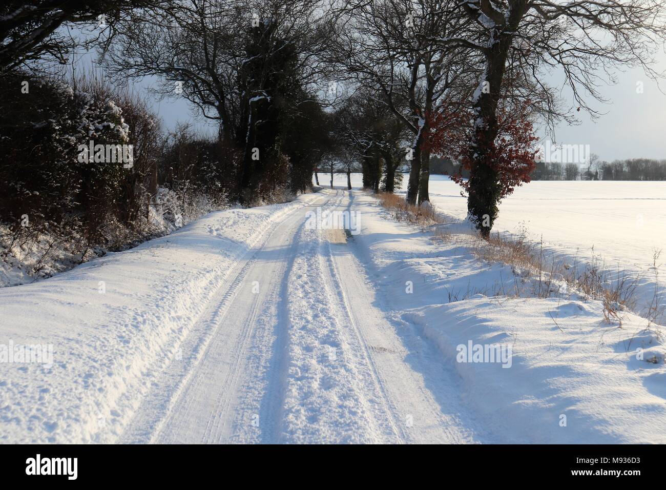 Tracce di pneumatici di un veicolo a 4 ruote motrici tra Crowfield e Coddenham, Suffolk Foto Stock