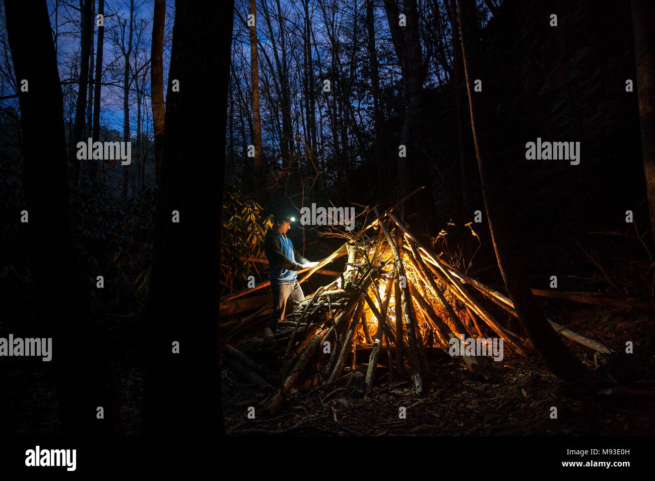 Falò simulato (utilizzando l'illuminazione a LED tecnica) nella foresta nazionale di Pisgah, Brevard, North Carolina, STATI UNITI D'AMERICA Foto Stock