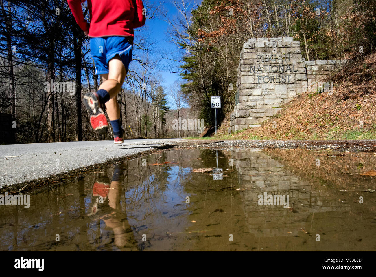 Runner in ingresso al Pisgah National Forest - Brevard, North Carolina, STATI UNITI D'AMERICA Foto Stock