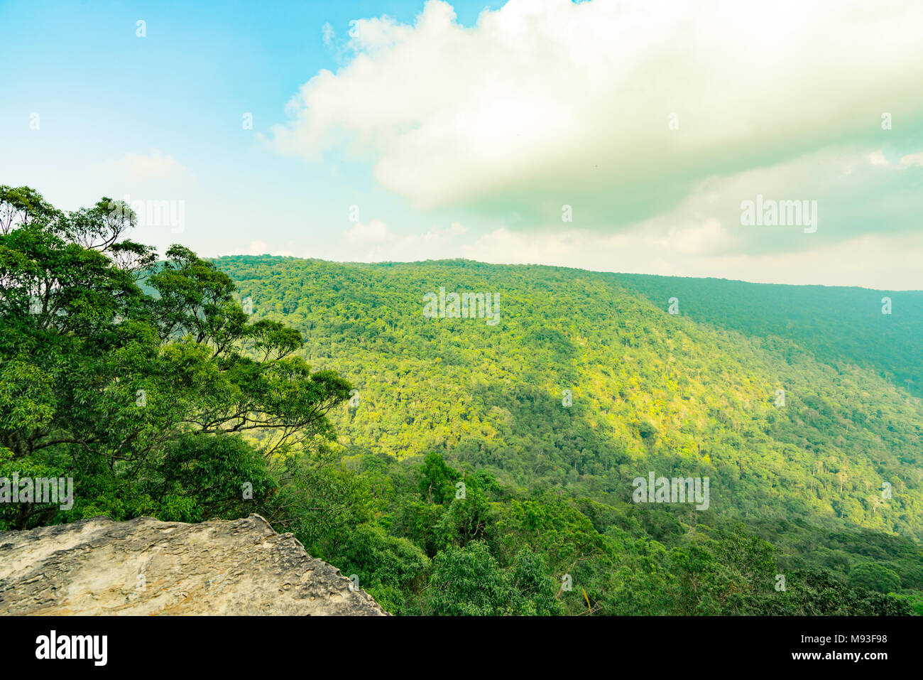 Bellissima vista della foresta pluviale tropicale in Pha Diao dai dirupi del parco nazionale di Khao Yai in Thailandia. Patrimonio mondiale. Il verde denso alti alberi su moun Foto Stock