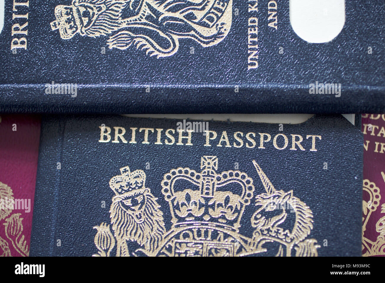 Il nuovo passaporto del Regno Unito per essere rilasciati dopo Brexit sarà fatta in Francia, secondo l'attuale produttore britannico. La corrente di passaporto di Borgogna, in uso fin dal 1988, tornerà alla sua originale colore blu e oro da ottobre 2019. Il boss del fornitore inglese De La Rue ha dichiarato alla BBC che la ditta Franco-Dutch Gemalto aveva vinto il £490m contratto. Cultura Segretario Matthew Hancock detta una decisione finale non era stata fatta. Tuttavia, l'ufficio a casa detti passaporti non doveva essere realizzato nel Regno Unito e in alcune copertine vuote sono stati già effettuati all'estero. Foto Stock