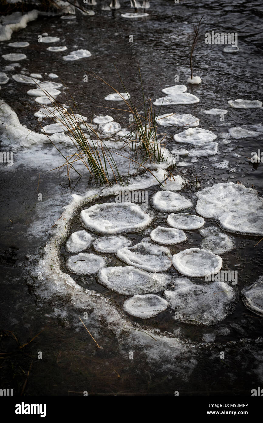 Modelli di ghiaccio sul Loch Pityoulish nel Parco Nazionale di Cairngorms della Scozia. Foto Stock