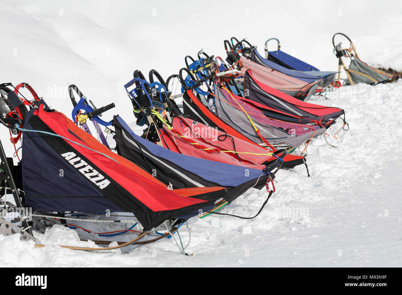 Penisola di Kamchatka: sport colorati slitta trainata da cani o cani da slitta per neve discipline sportive - Sled Dog racing, stand su bianco neve sulla giornata di sole. Foto Stock
