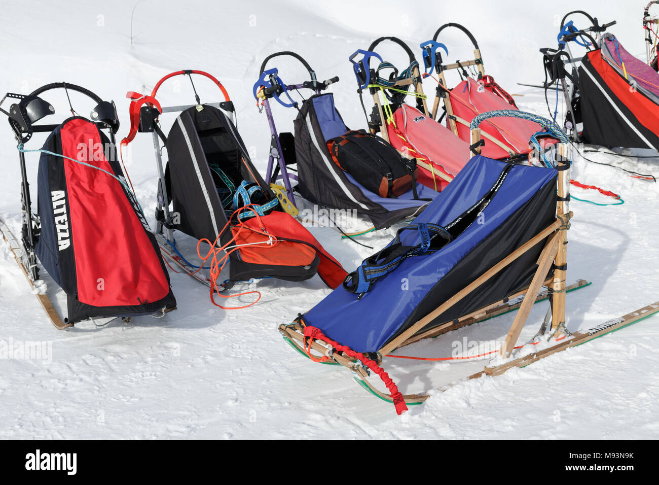 Estremo Oriente Russo: molte colorate sport slitta trainata da cani o cani da slitta per neve discipline sportive - Sled Dog gare, stand su bianco neve in chiaro soleggiato Foto Stock