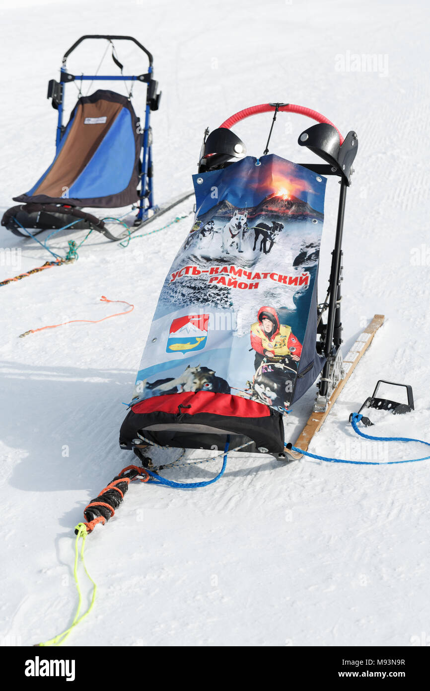 Penisola di Kamchatka: sport colorati slitta trainata da cani o cani da slitta per neve discipline sportive - slitta trainata da cani gare, stand su bianco neve sulla chiara giornata di sole. Foto Stock