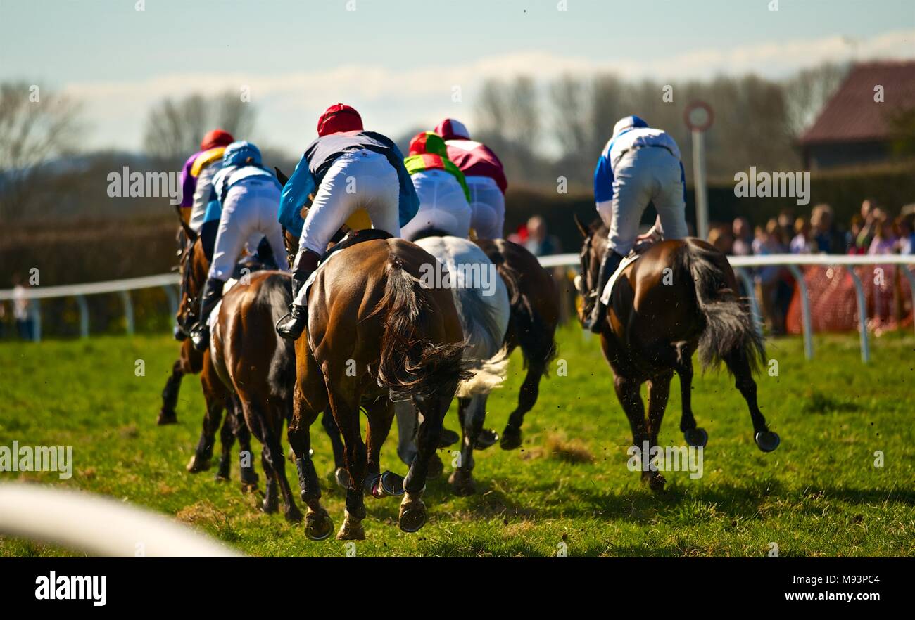 Eyton on Severn - Pasqua da punto a punto Foto Stock