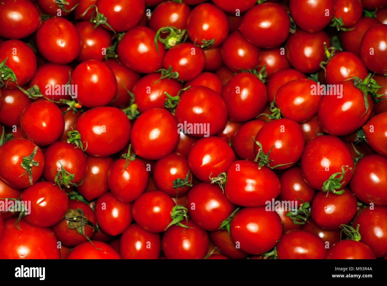 Sfondo - ripe rosso i pomodorini con talee Foto Stock