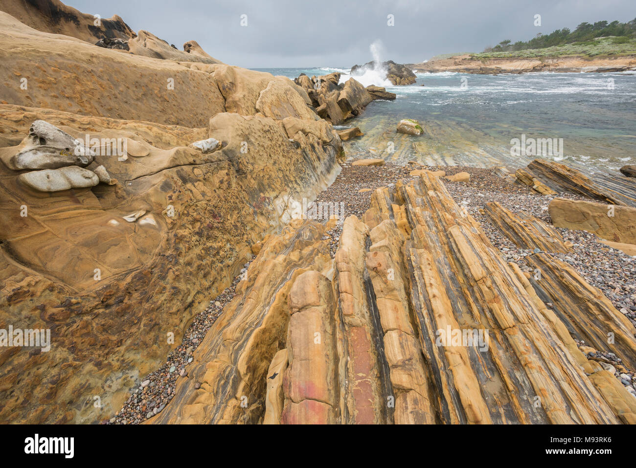 Weston Beach (Carmelo formazione) ed erose rocce sedimentarie (granodiorite), punto Lobos Riserva Naturale Statale, CA, Stati Uniti d'America, di Dominique Braud/Dembinsky Foto Stock