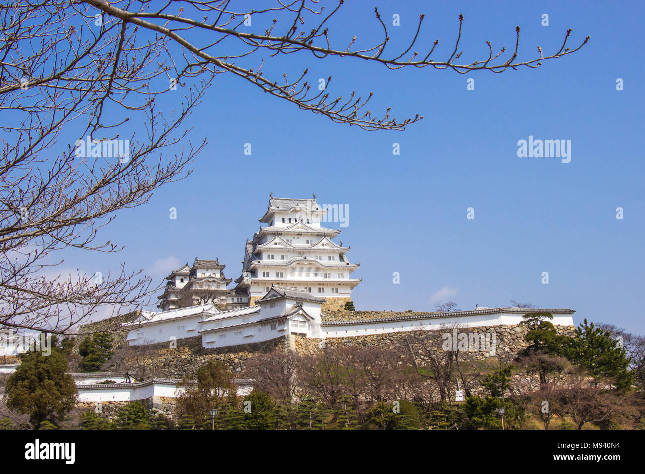 Il castello di Himeji durante la fioritura dei ciliegi ora stanno andando a fiore Foto Stock