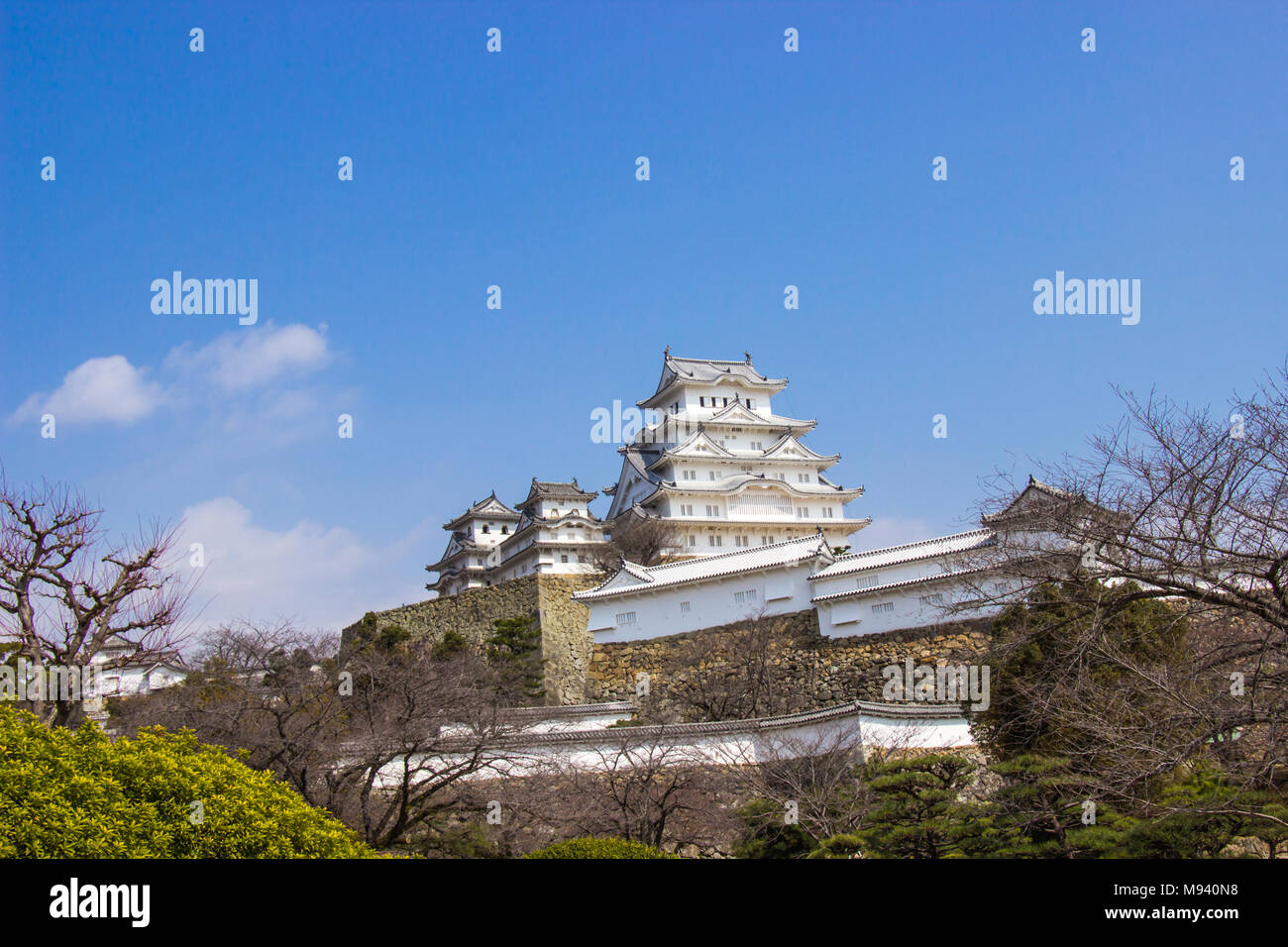 Il castello di Himeji durante la fioritura dei ciliegi ora stanno andando a fiore Foto Stock