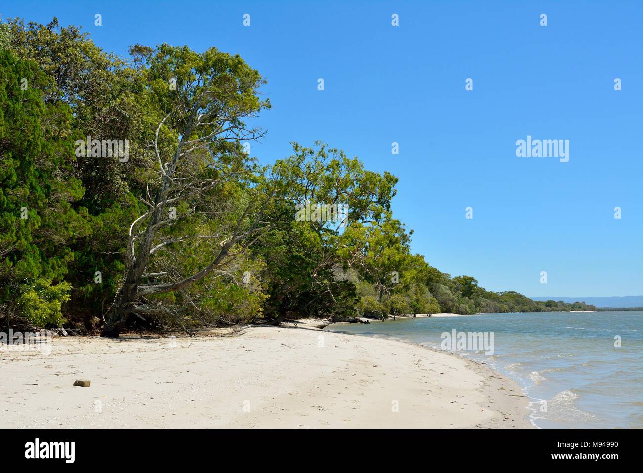 Spiaggia sulla costa occidentale di South Stradbroke Island nel Queensland, in Australia. Foto Stock
