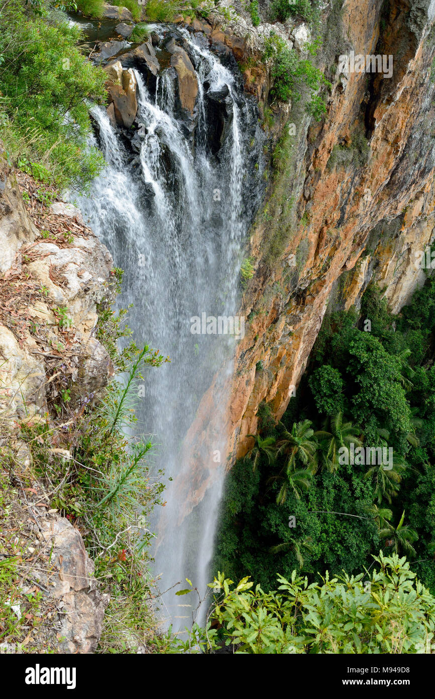 Purling Brook cade in Springbrook National Park, Queensland, Australia. Foto Stock