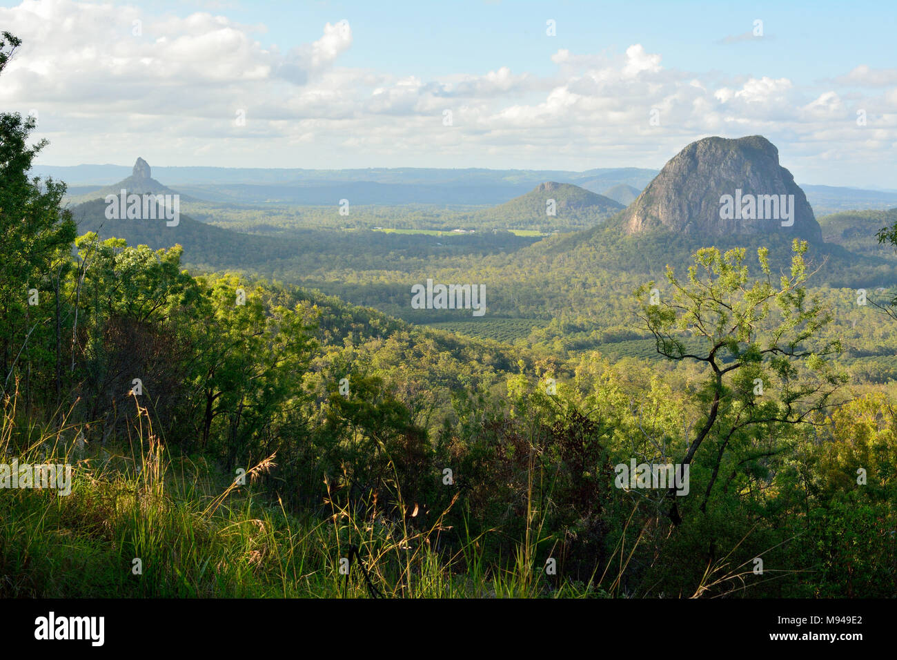 Vista sulle montagne Tibberoowuccum, Coonowrin, Ngungun e Tibrogargan in casa di vetro montagne regione nel Queensland, Australia. Foto Stock