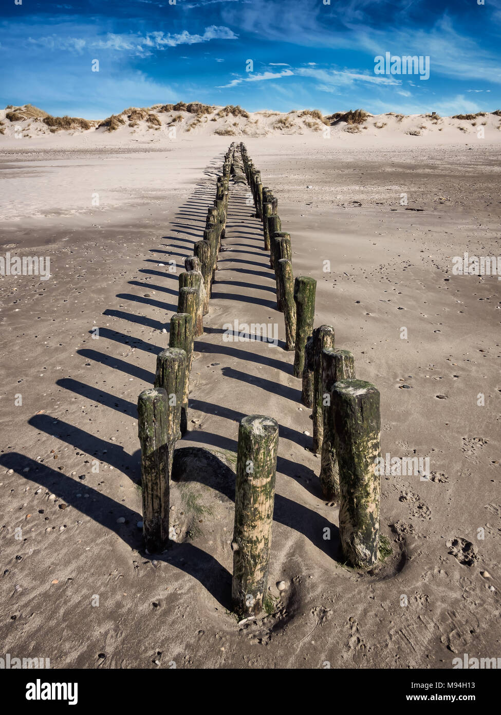 Protezione camici in Blaavand sulla costa del mare del Nord, Danimarca Foto Stock