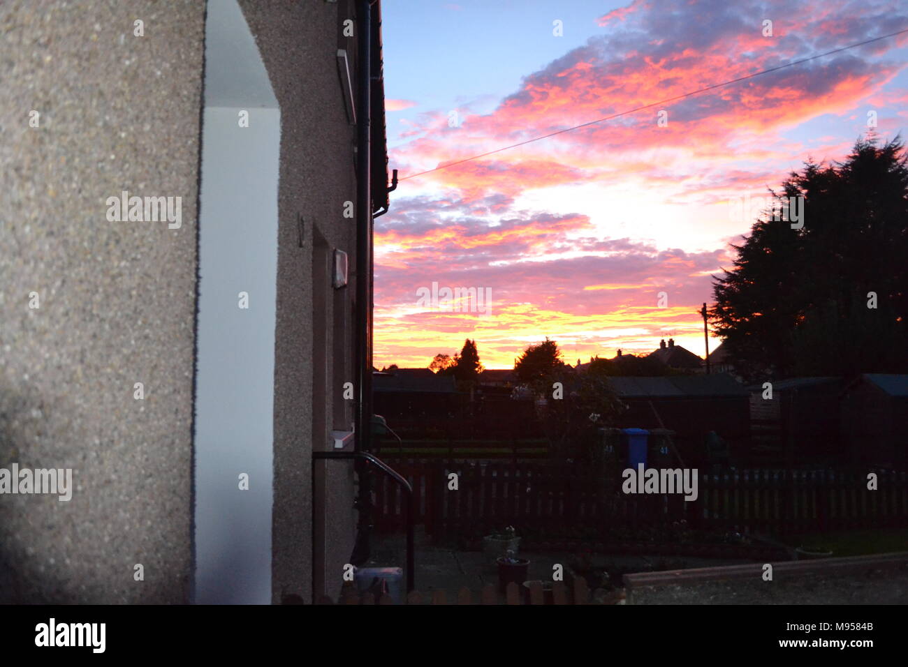 'Redskies' 'Stormo di oche selvatiche' 'dusk stabilendosi in oltre Falkirk Scozia' 'Falkirk' 'Scotland'. Foto Stock