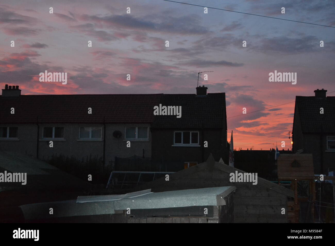 'Redskies' 'Stormo di oche selvatiche' 'dusk stabilendosi in oltre Falkirk Scozia' 'Falkirk' 'Scotland'. Foto Stock