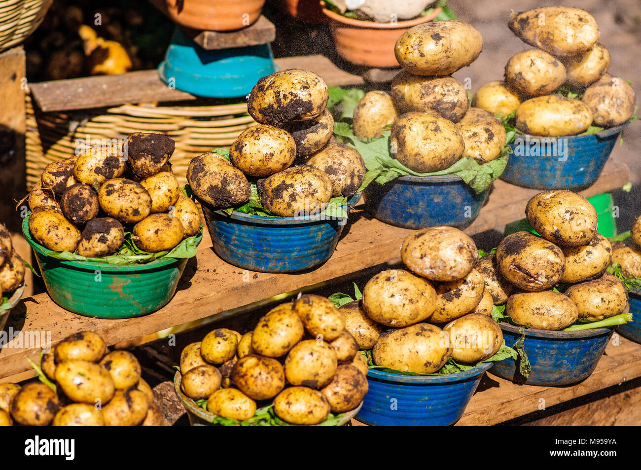 Patate splendidamente esposte sotto il sole in un mercato alimentare a San Cristobal de las Casas, Chiapas, Messico Foto Stock